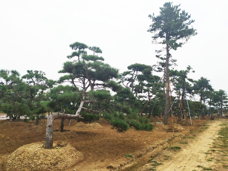 基地展示