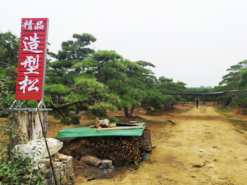 基地展示