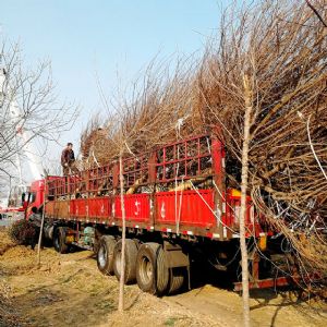 裝車現(xiàn)場